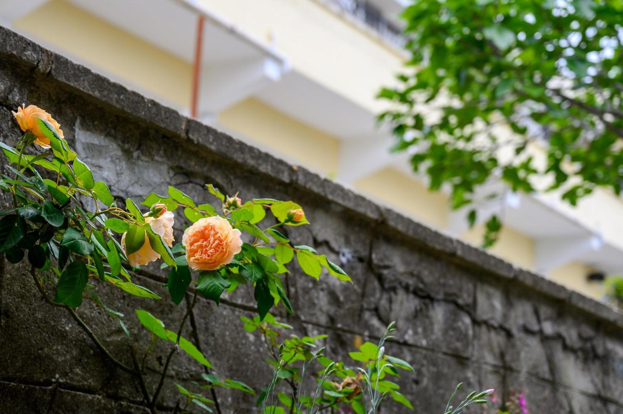 Effect Saint Mina Hotel Sozopol Exterior photo